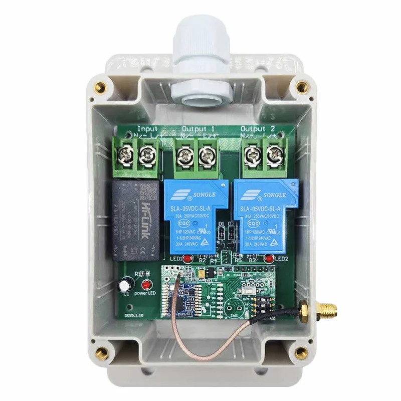 2 Canaux 30A interrupteur sans fil sortie 230V avec télécommande 5km (Modèle: 0020137)