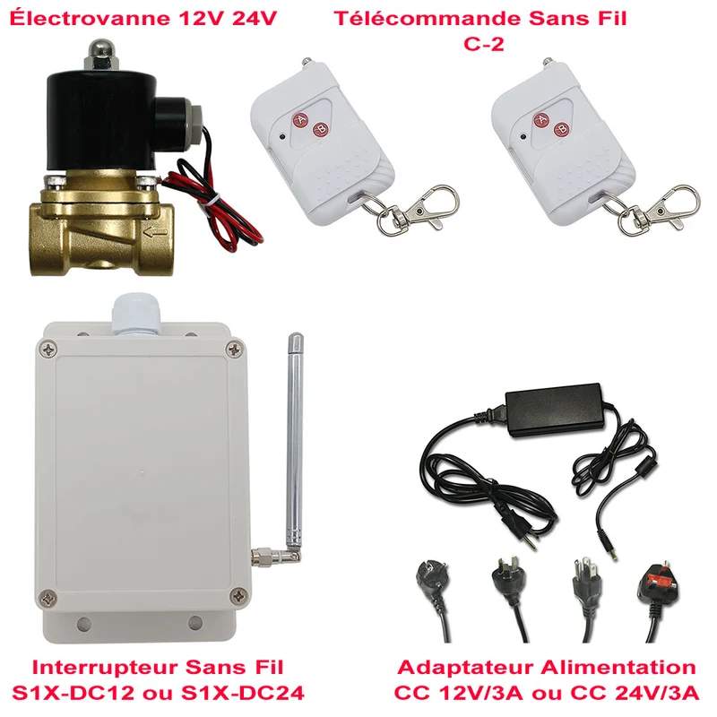 Kit Électrovanne Télécommande Sans Fil Avec 12V 24V Alimentation (Modèle: 0020568)