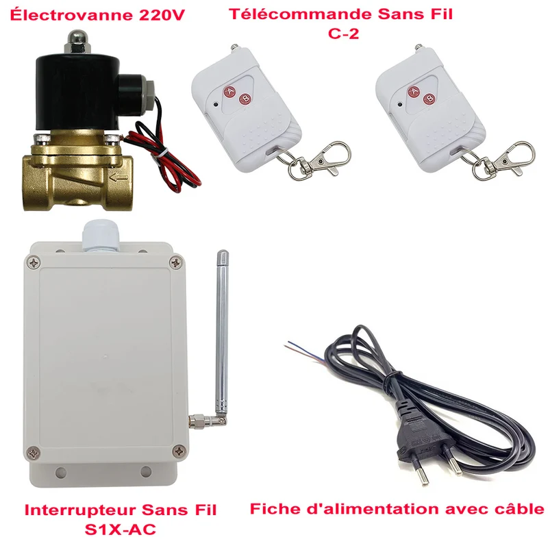 Kit Télécommande Sans Fil avec Interrupteur et Électrovanne 220V (Modèle: 0020567)