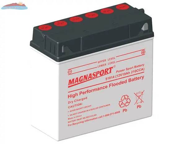 Magnasport 51814