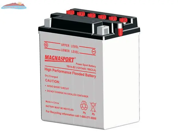 Magnasport YB14-B2