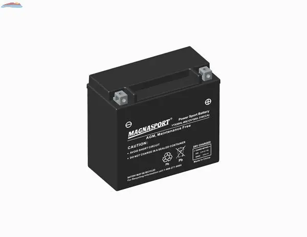 Magnasport YTX20HL-BS