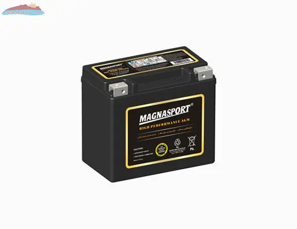 Magnacharge MTX12-BS