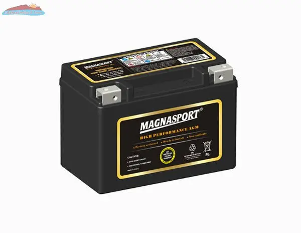 Magnacharge MTX9-BS